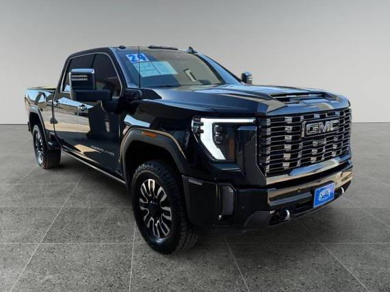 GMC SIERRA HD 2024 1GT49XEY0RF185448 image